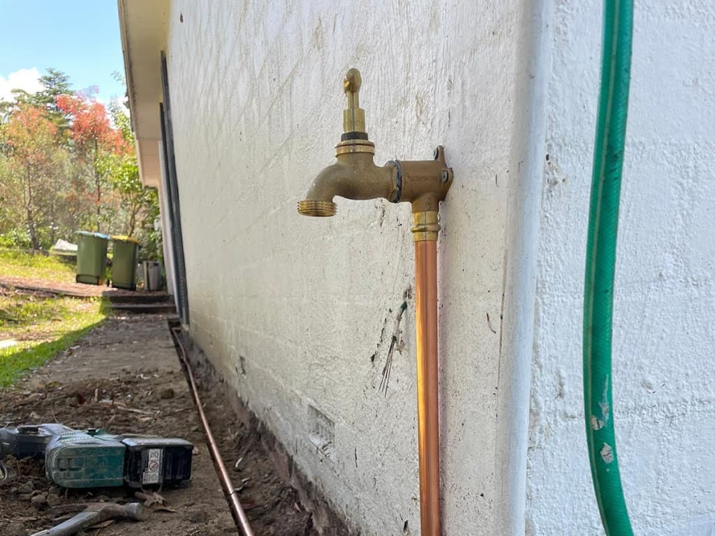 The Plumber Next Door