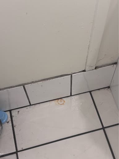 Remstar Plumbing — Customer photo