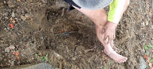 All Plumbing and Leak Detection — Customer photo