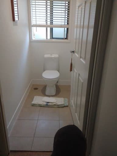 Reactive Plumbing & Drains — Customer photo