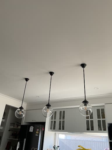 Our Sparky — Customer photo