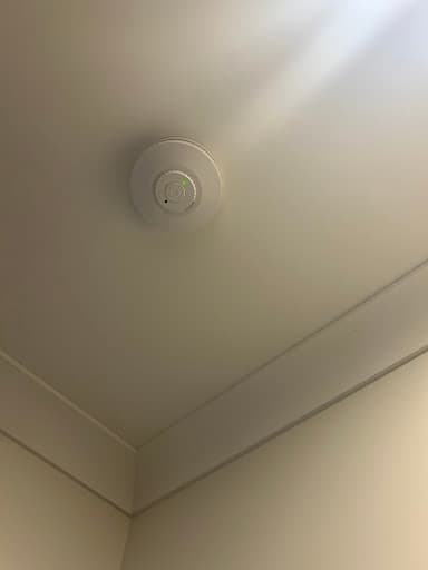 Our Sparky — Customer photo