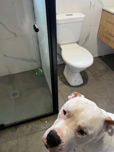 HomeFirst Services Hallam - Plumber Melbourne — Customer photo