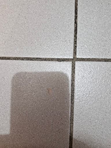 Service Today Plumber Adelaide — Customer photo